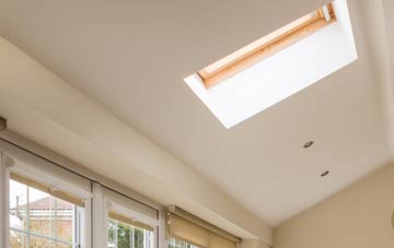Muchlarnick conservatory roof insulation companies