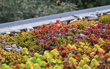 the cost of Muchlarnick green roof installation