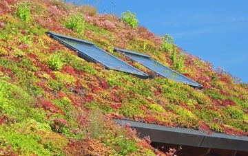 Muchlarnick living roof systems