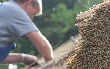 professional Muchlarnick thatchers